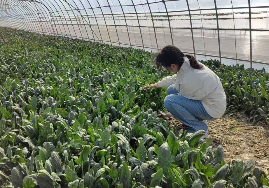 银娱优越会·GEG(中国)股份有限公司