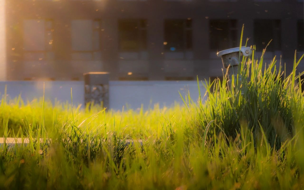 银娱优越会·GEG(中国)股份有限公司