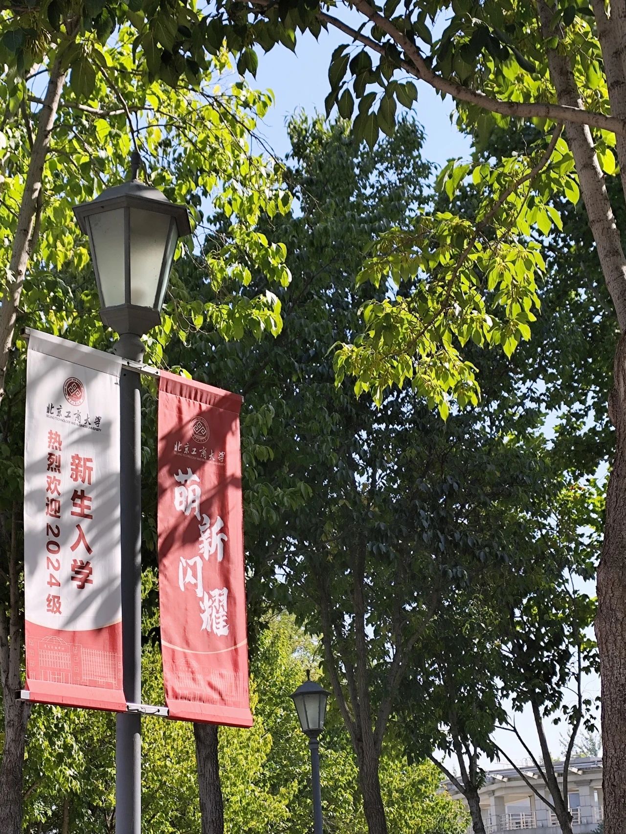 银娱优越会·GEG(中国)股份有限公司