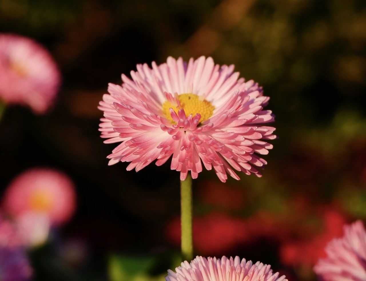 银娱优越会·GEG(中国)股份有限公司