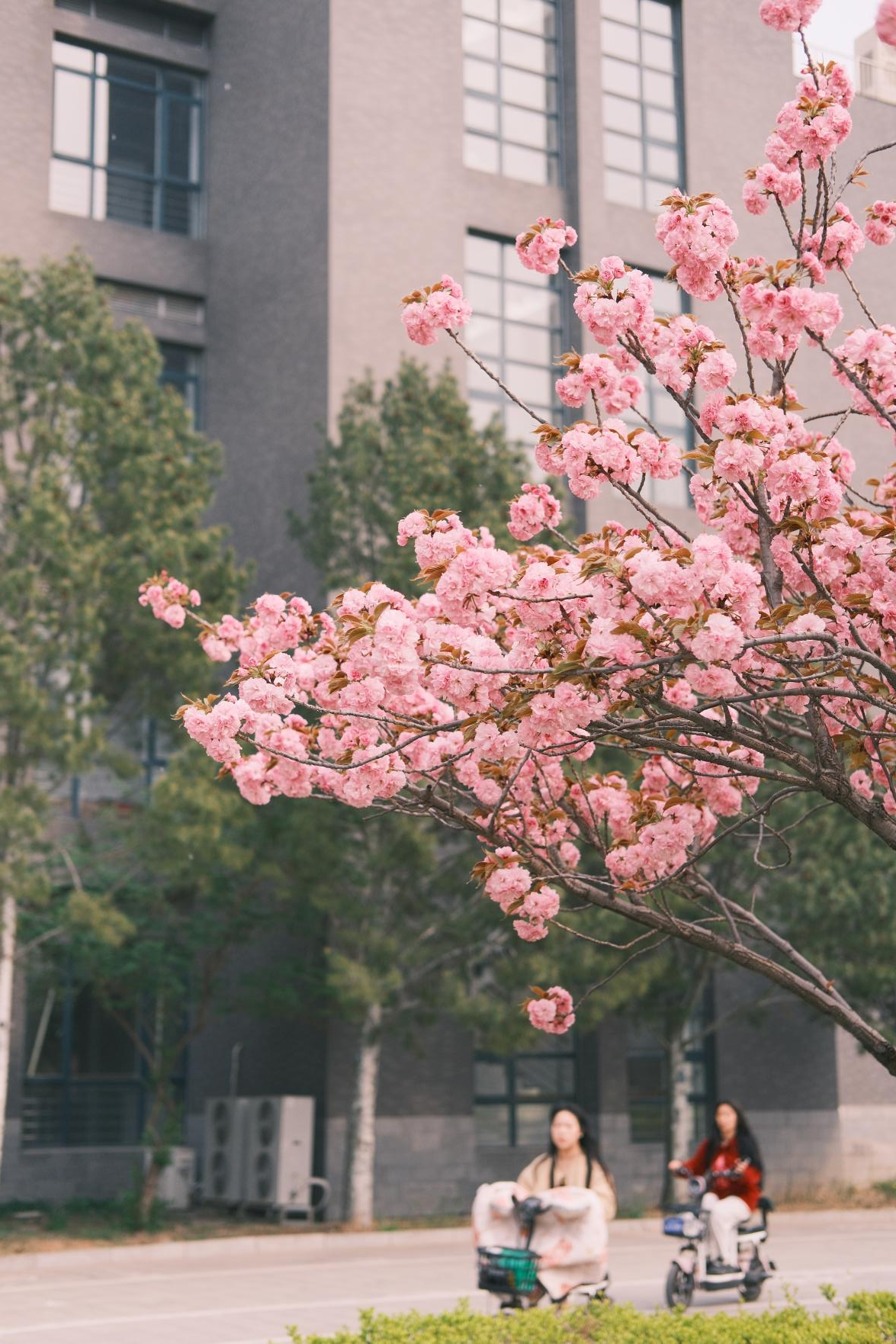 银娱优越会·GEG(中国)股份有限公司