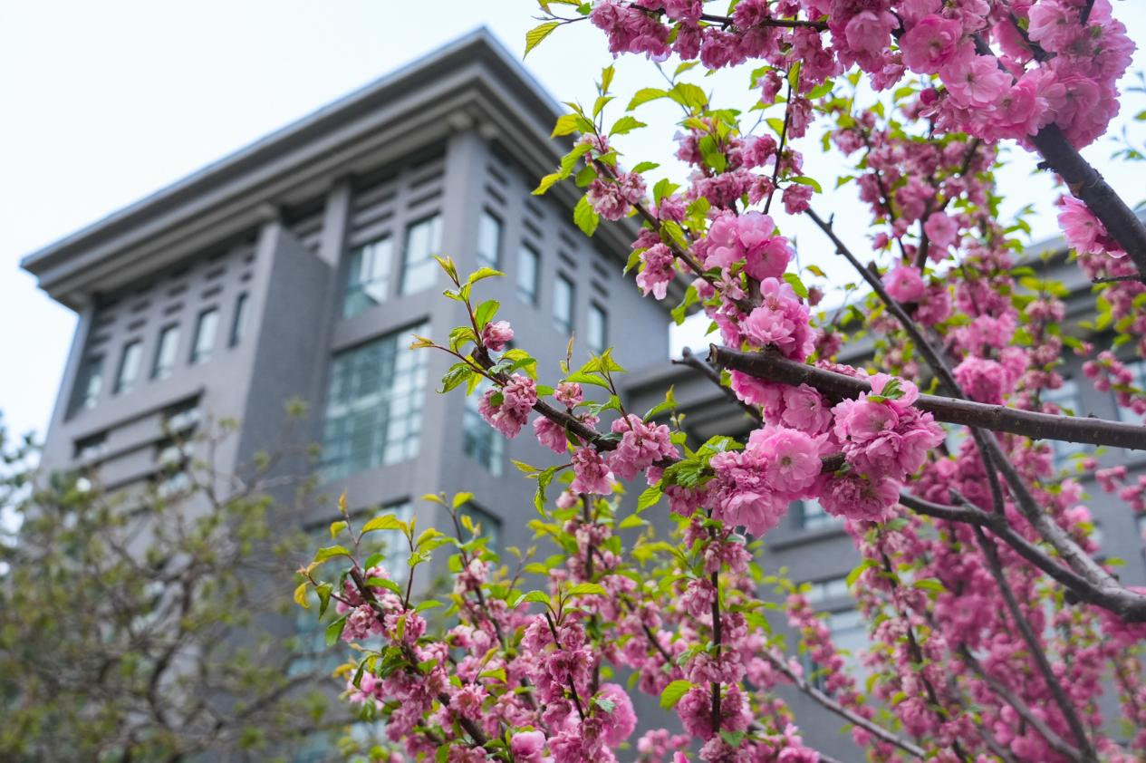 银娱优越会·GEG(中国)股份有限公司