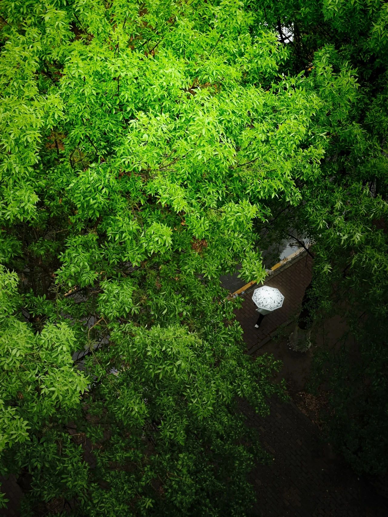 银娱优越会·GEG(中国)股份有限公司