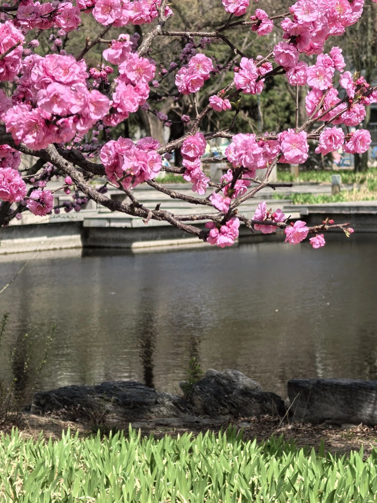 银娱优越会·GEG(中国)股份有限公司