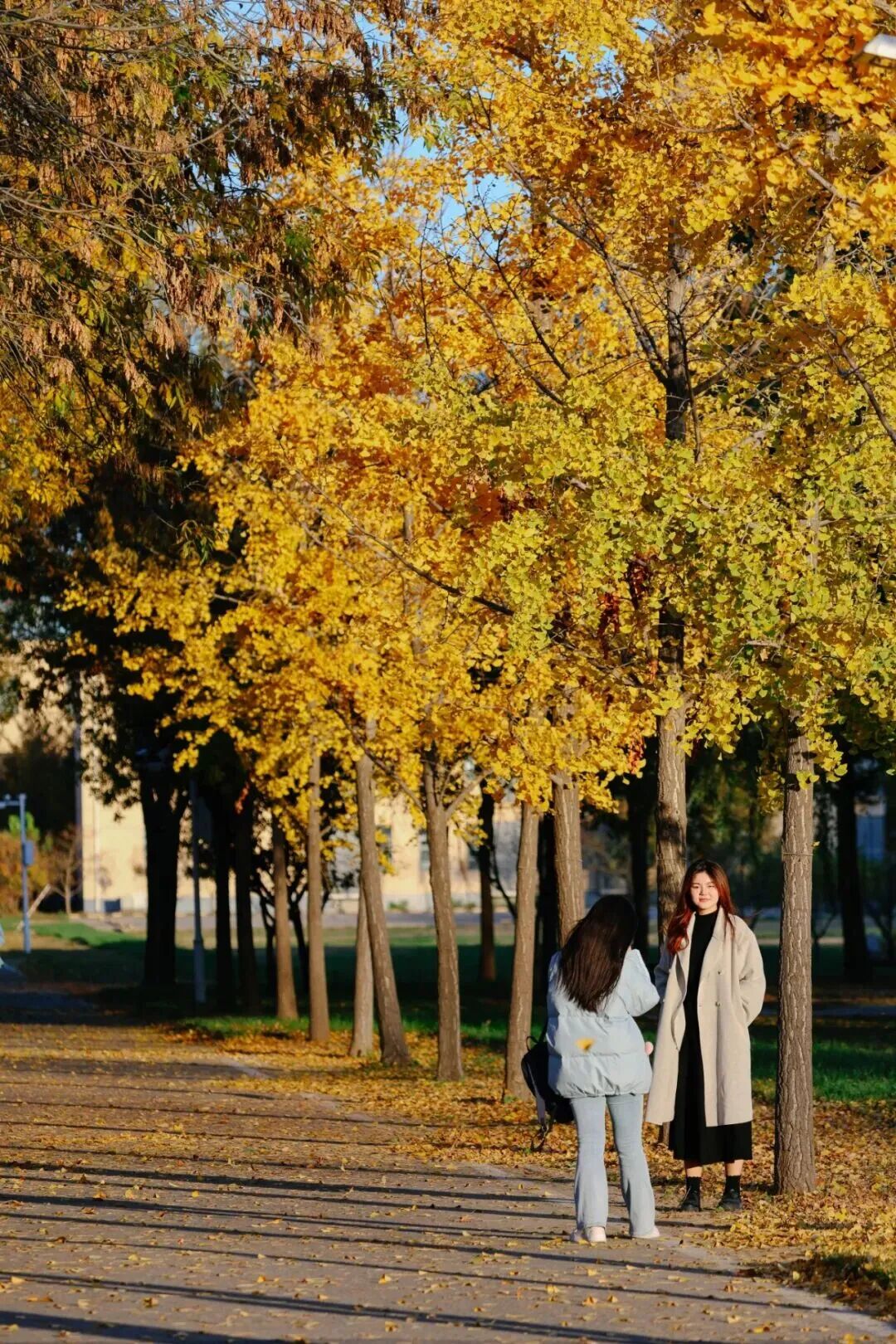 银娱优越会·GEG(中国)股份有限公司