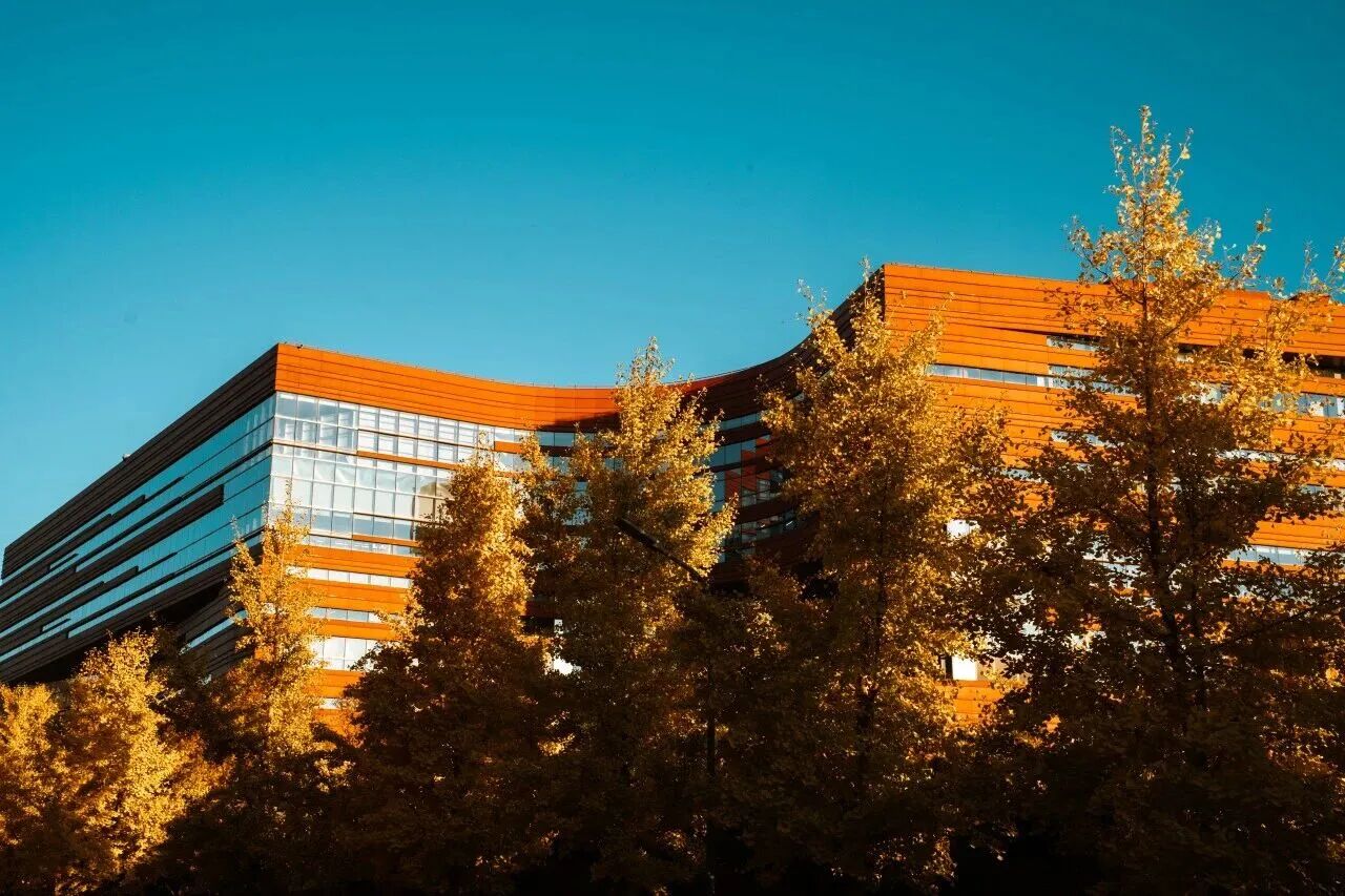 银娱优越会·GEG(中国)股份有限公司