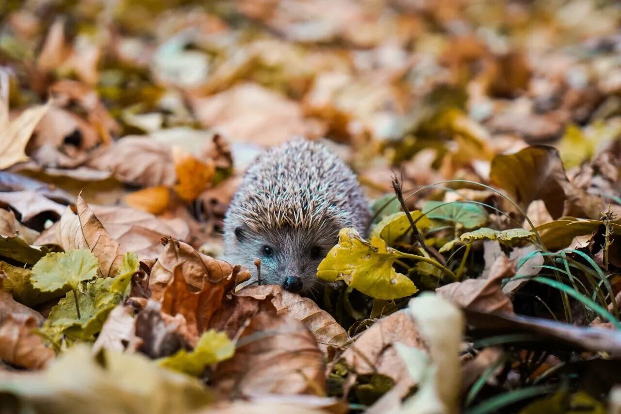 银娱优越会·GEG(中国)股份有限公司
