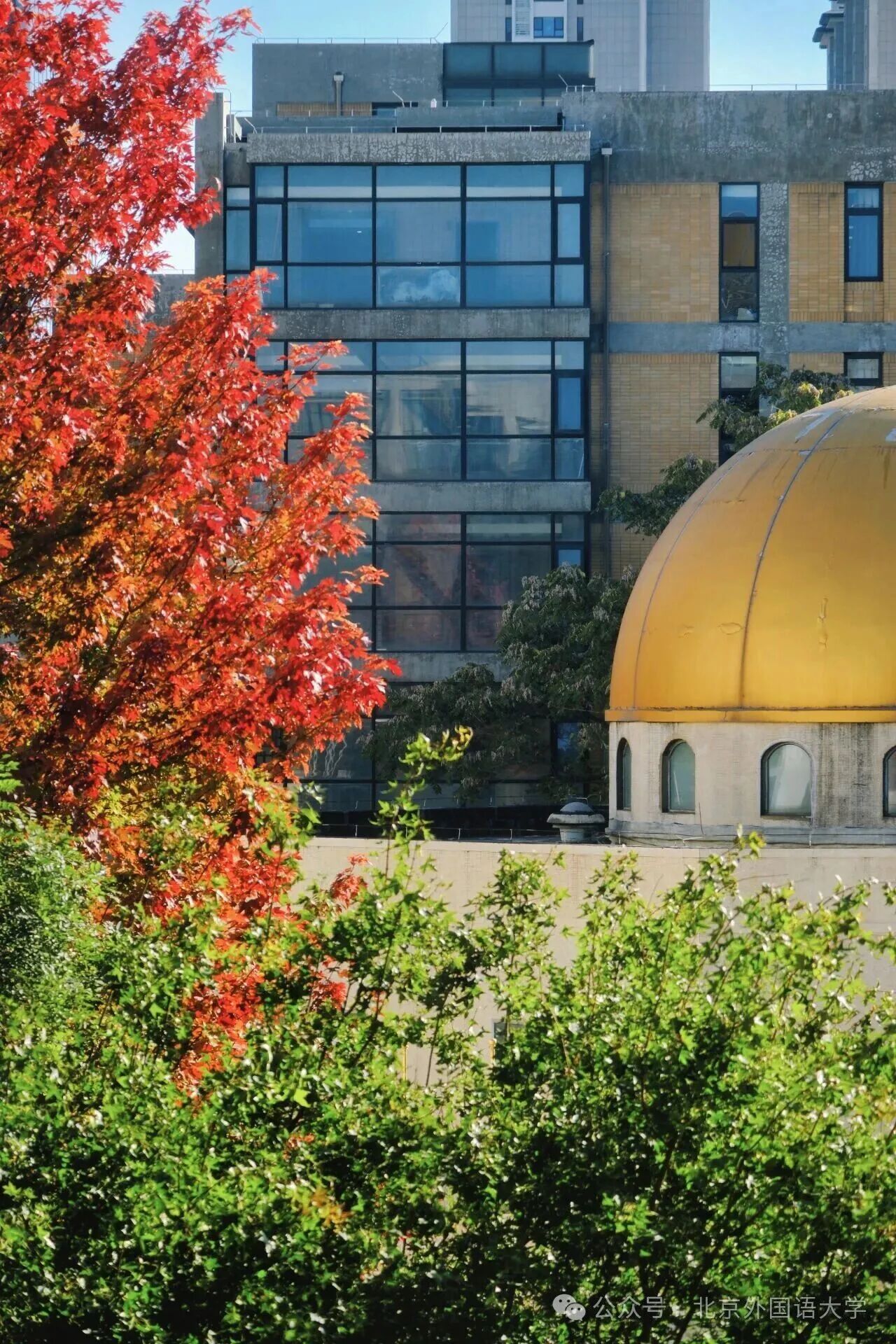 银娱优越会·GEG(中国)股份有限公司