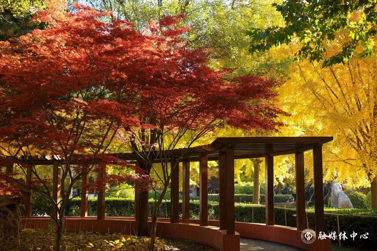 银娱优越会·GEG(中国)股份有限公司