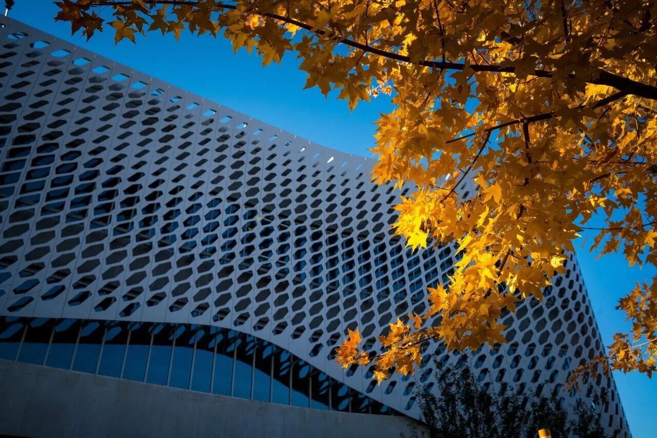 银娱优越会·GEG(中国)股份有限公司