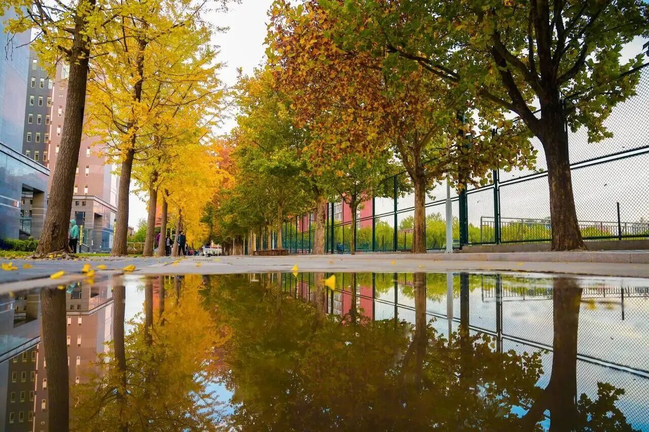 银娱优越会·GEG(中国)股份有限公司