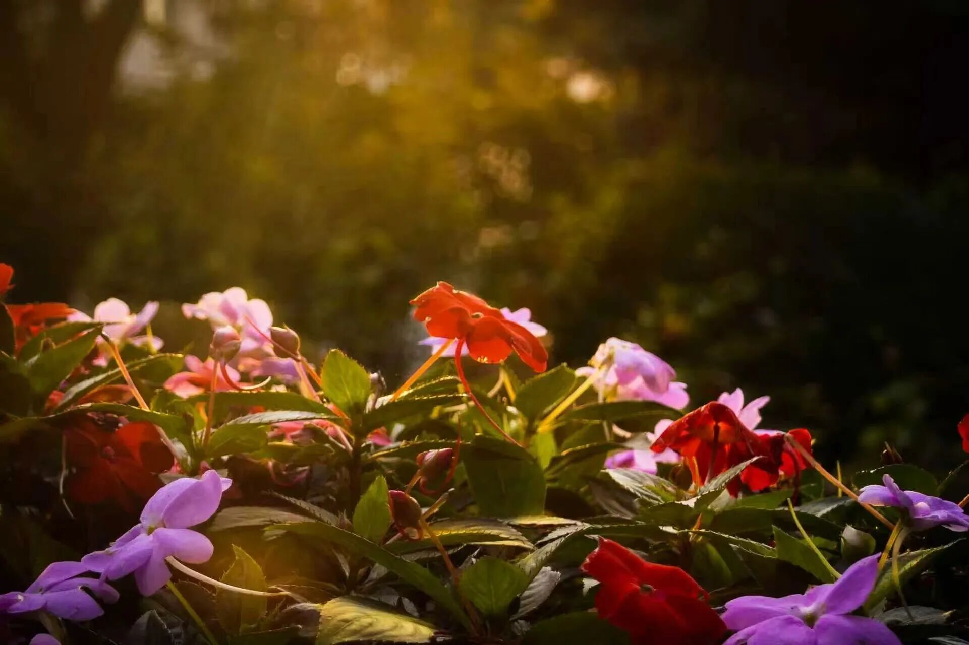 银娱优越会·GEG(中国)股份有限公司