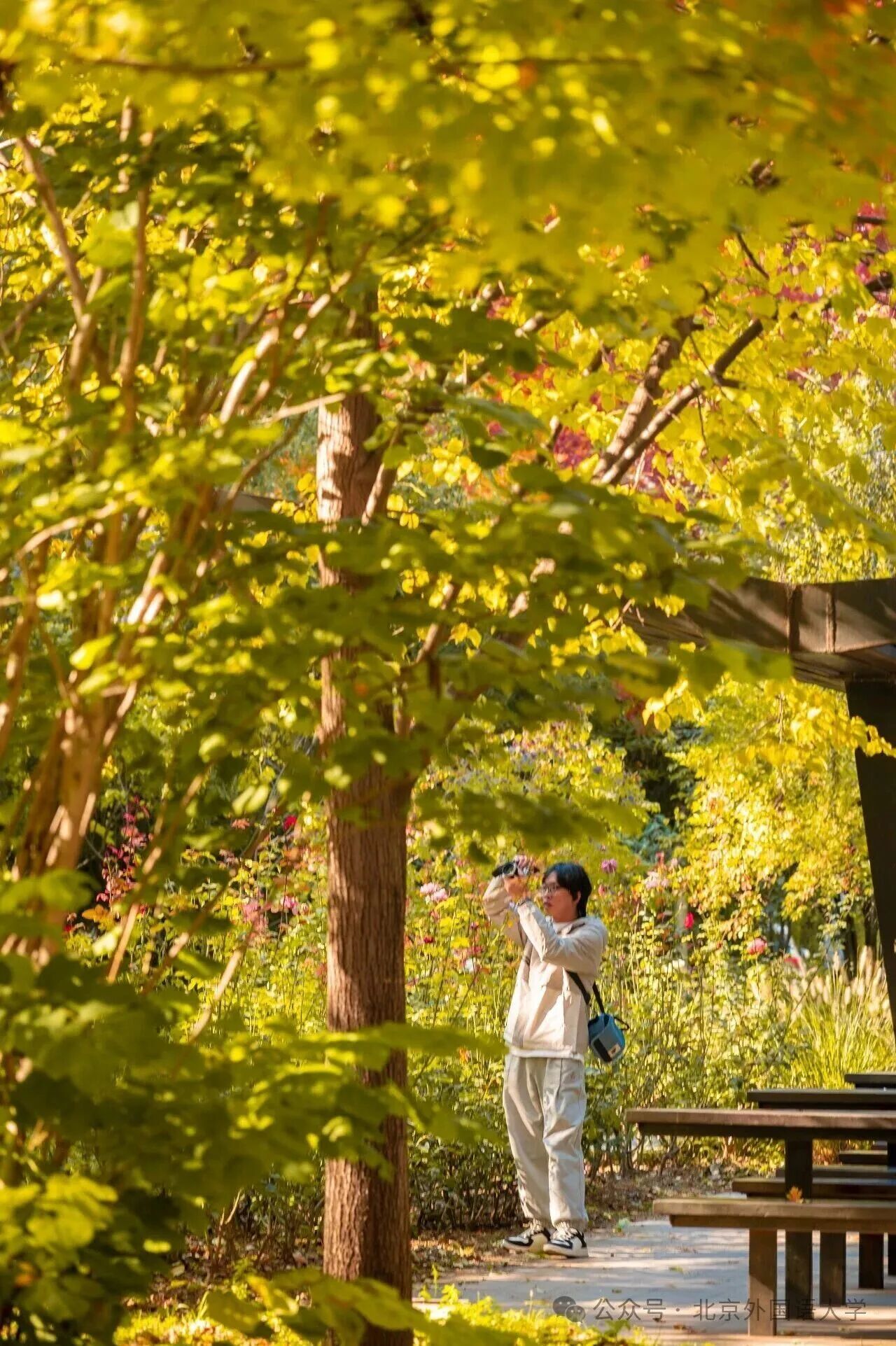 银娱优越会·GEG(中国)股份有限公司