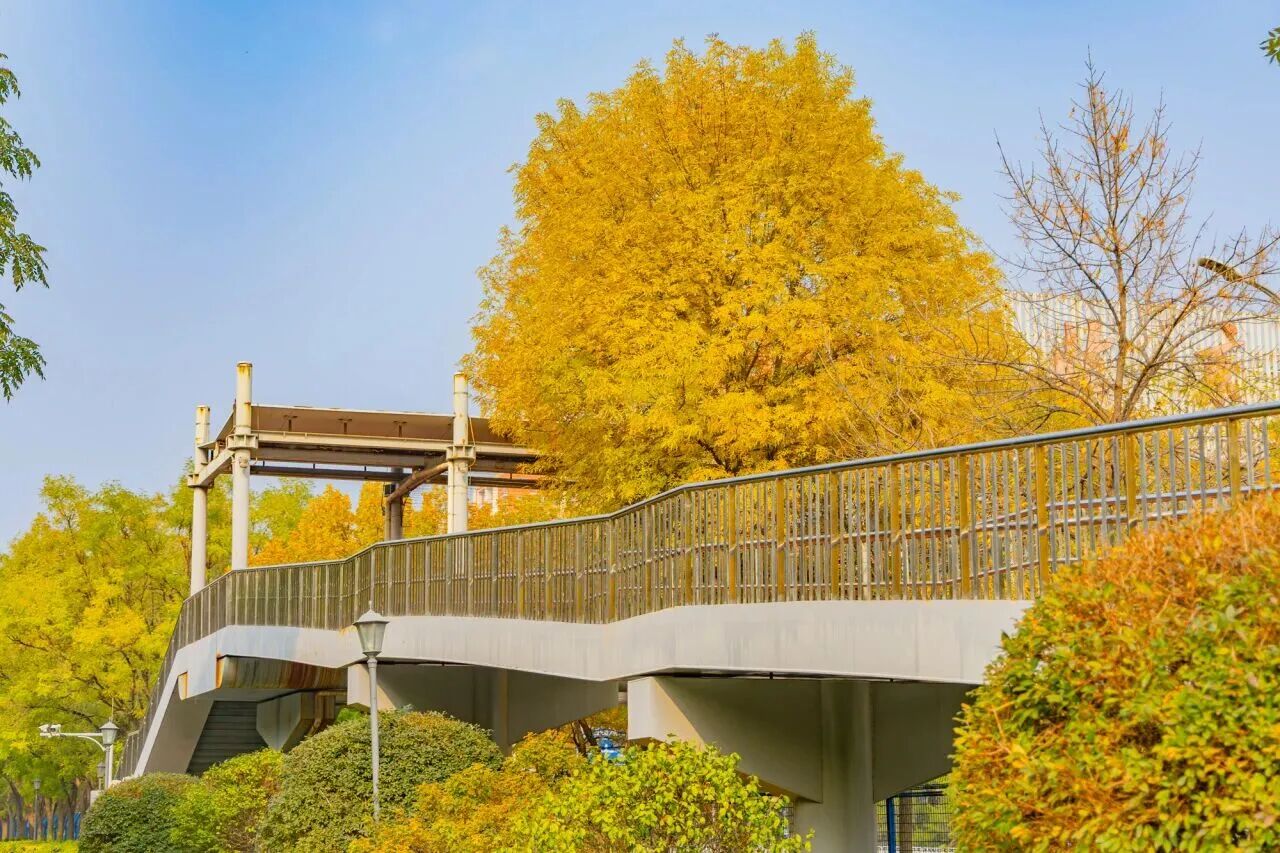 银娱优越会·GEG(中国)股份有限公司