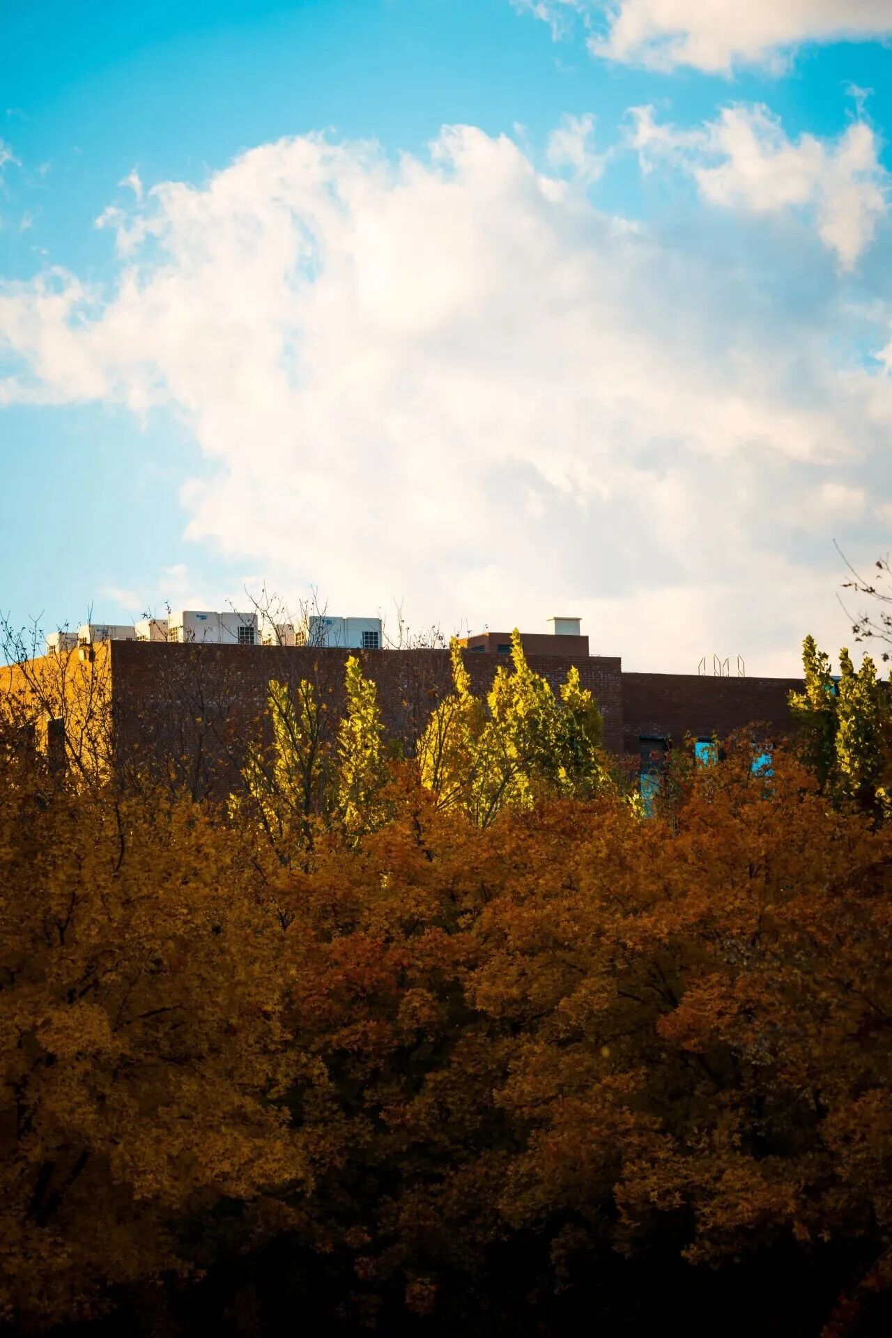 银娱优越会·GEG(中国)股份有限公司