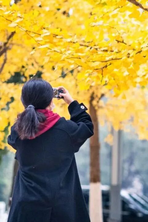 银娱优越会·GEG(中国)股份有限公司