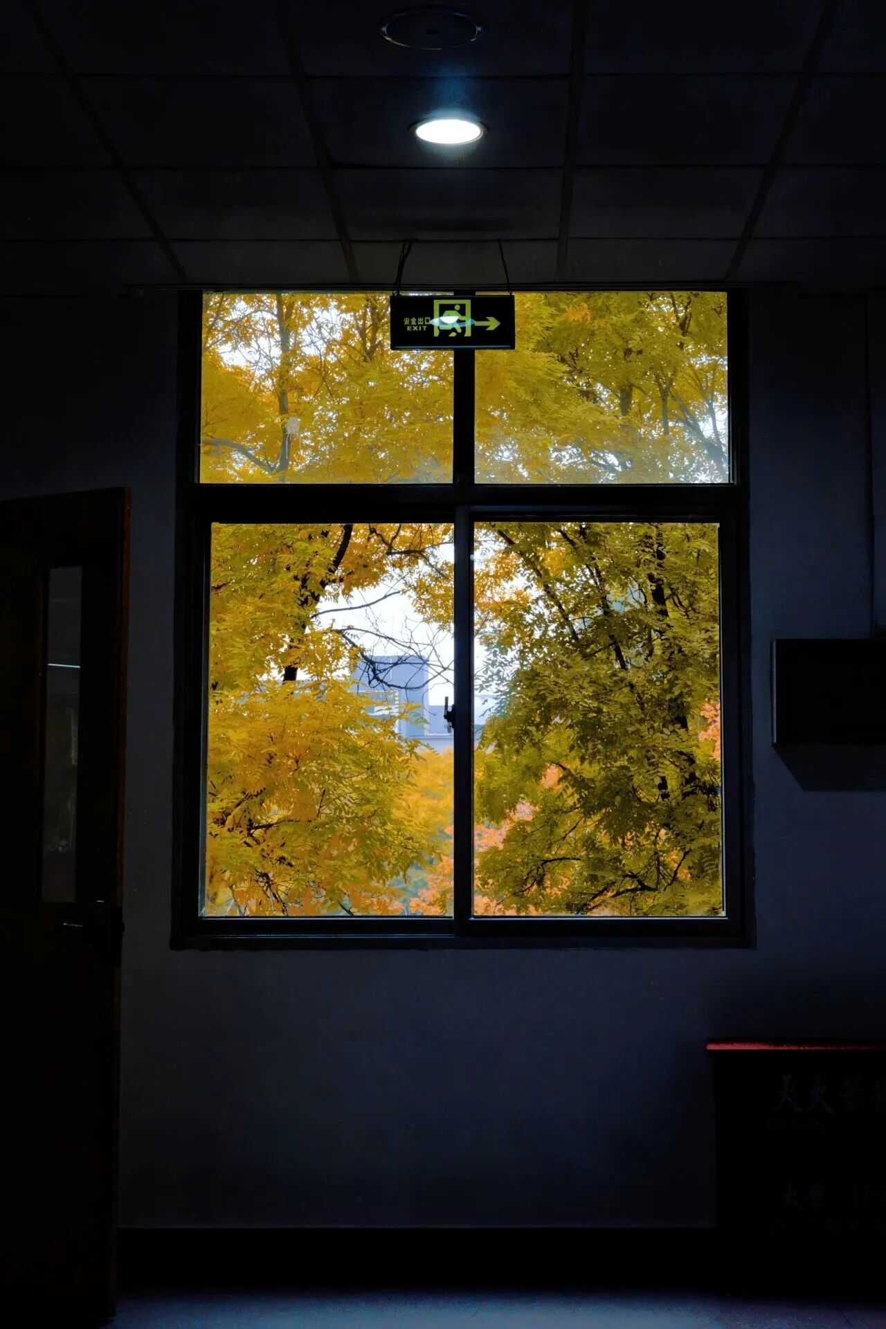 银娱优越会·GEG(中国)股份有限公司