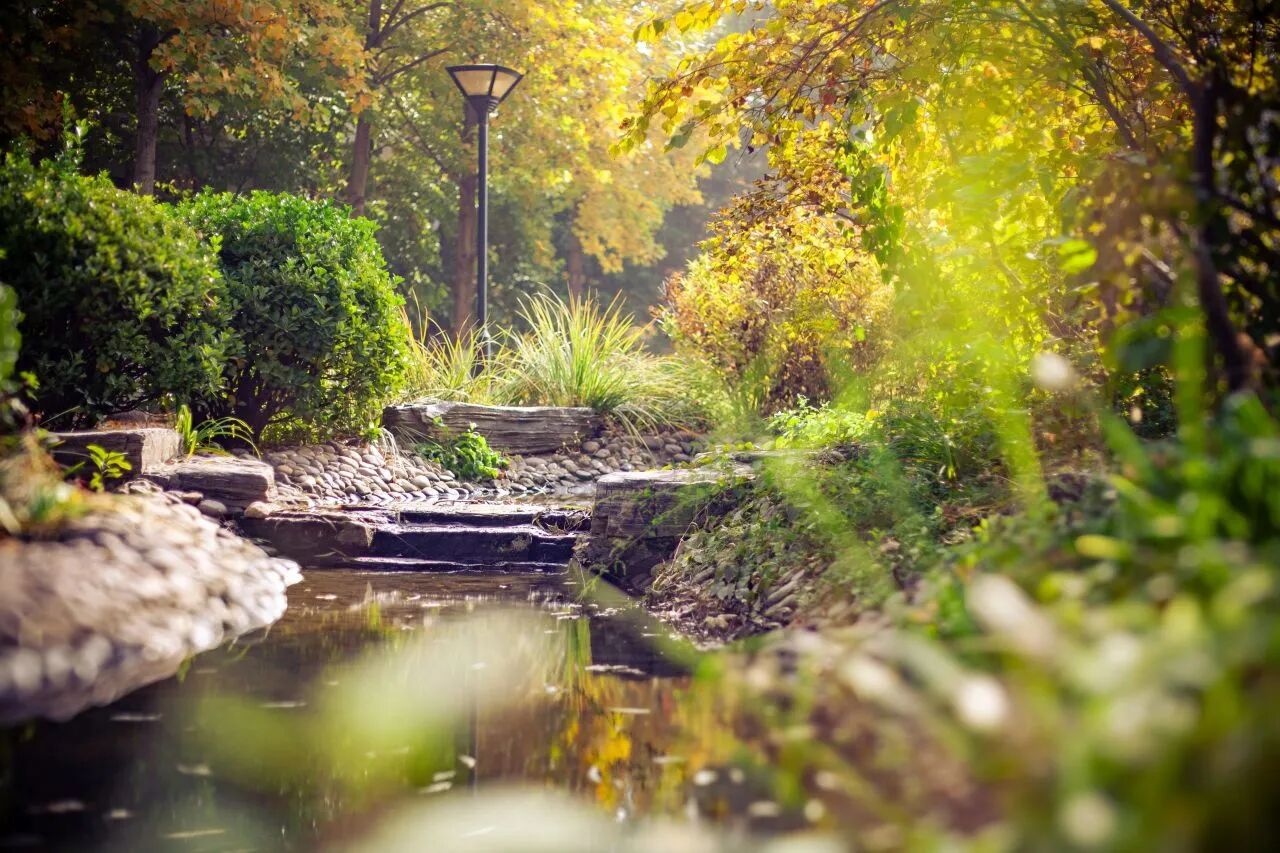 银娱优越会·GEG(中国)股份有限公司