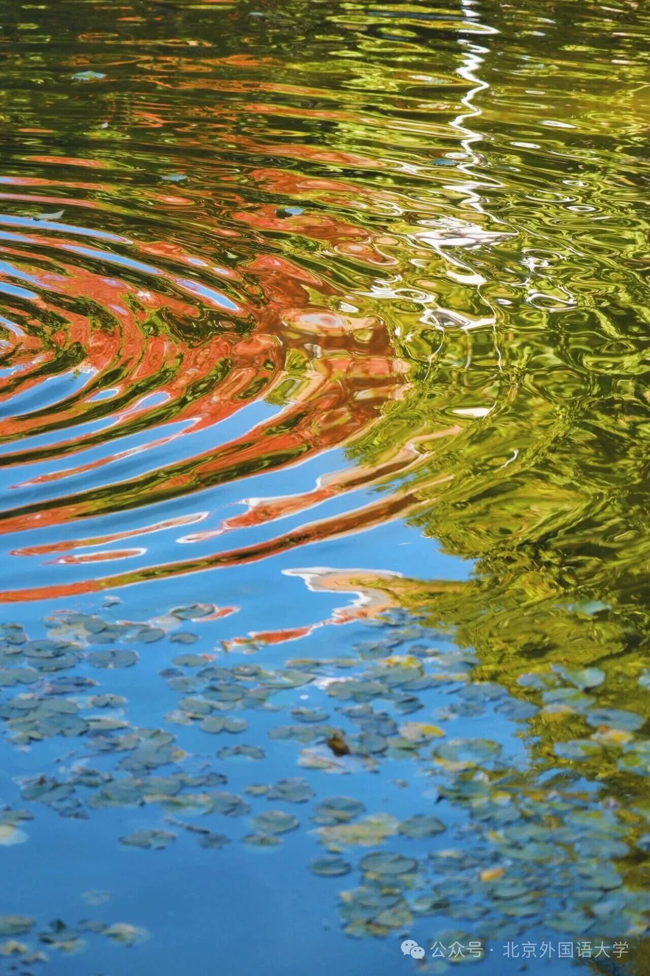 银娱优越会·GEG(中国)股份有限公司