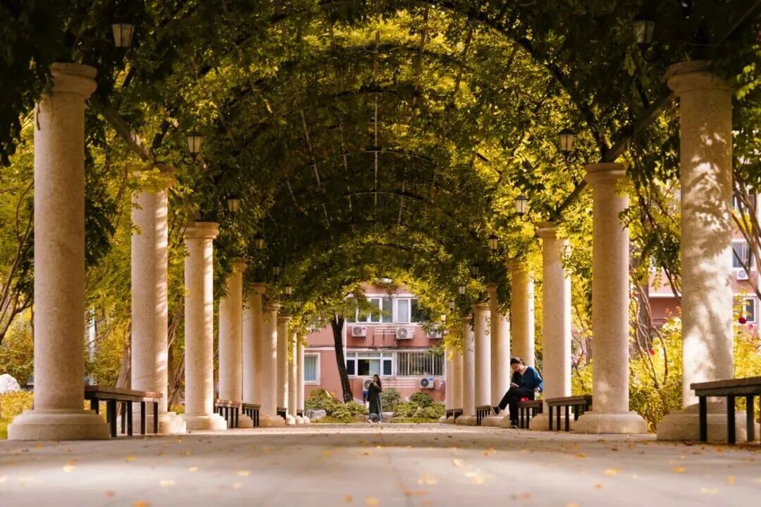 银娱优越会·GEG(中国)股份有限公司