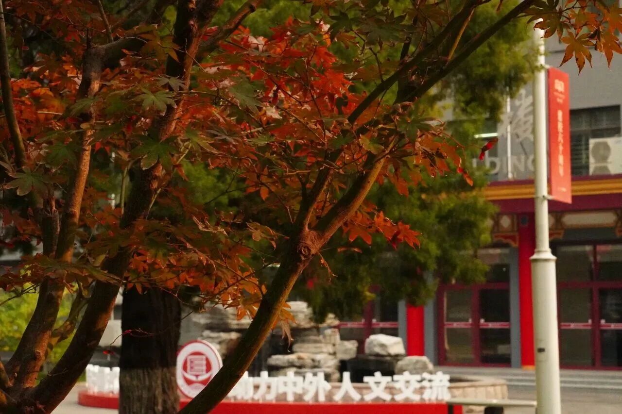 银娱优越会·GEG(中国)股份有限公司