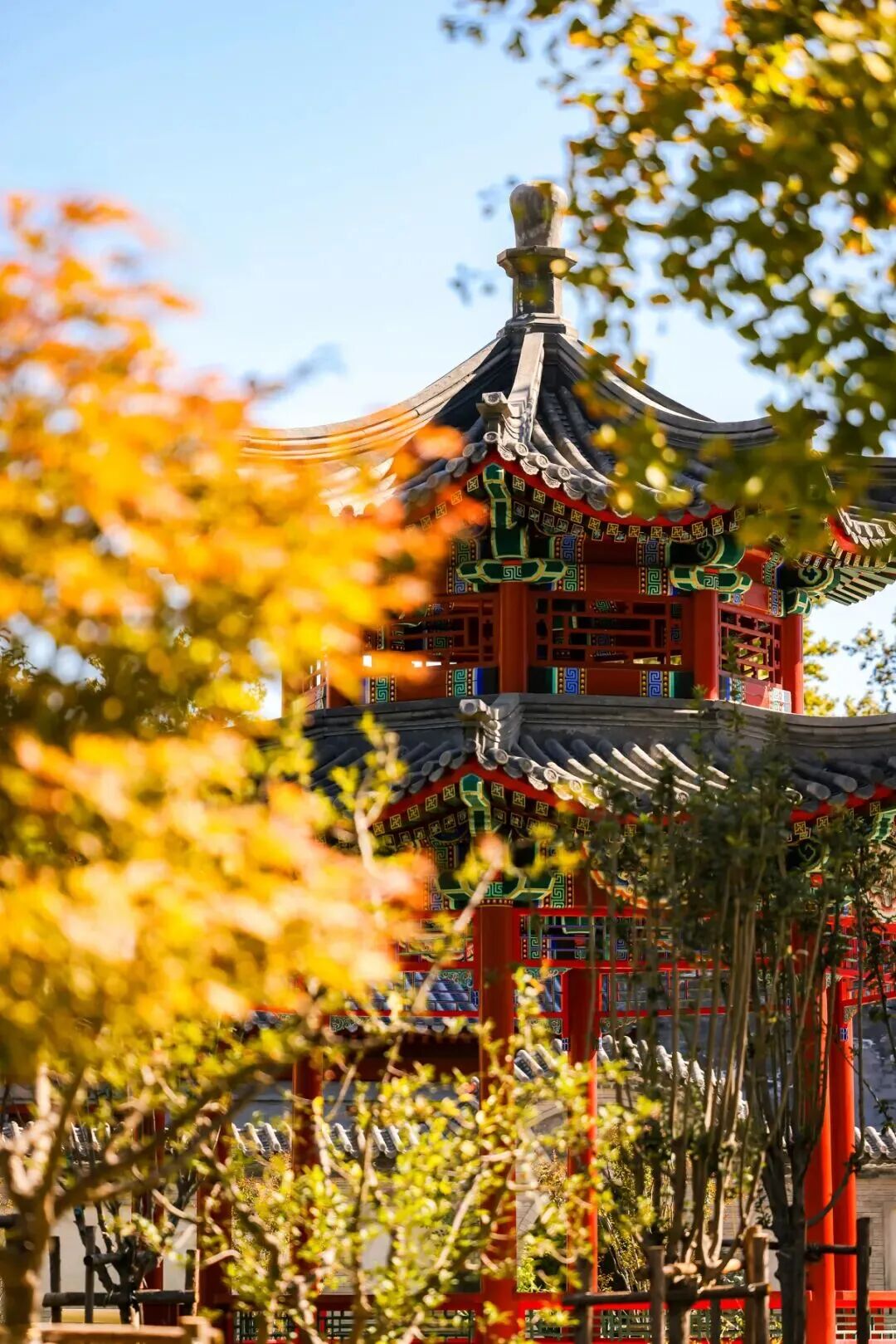 银娱优越会·GEG(中国)股份有限公司