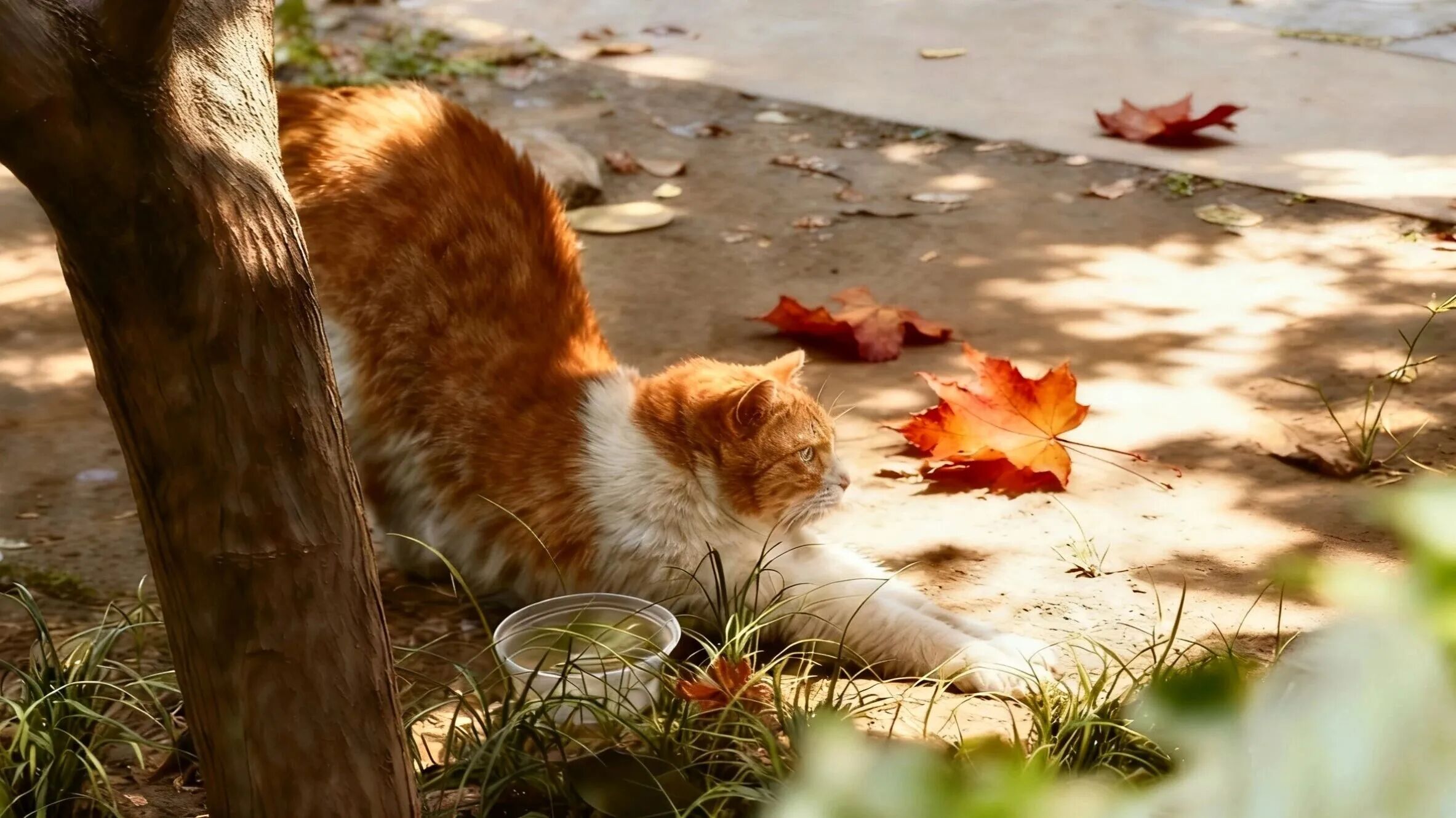 银娱优越会·GEG(中国)股份有限公司