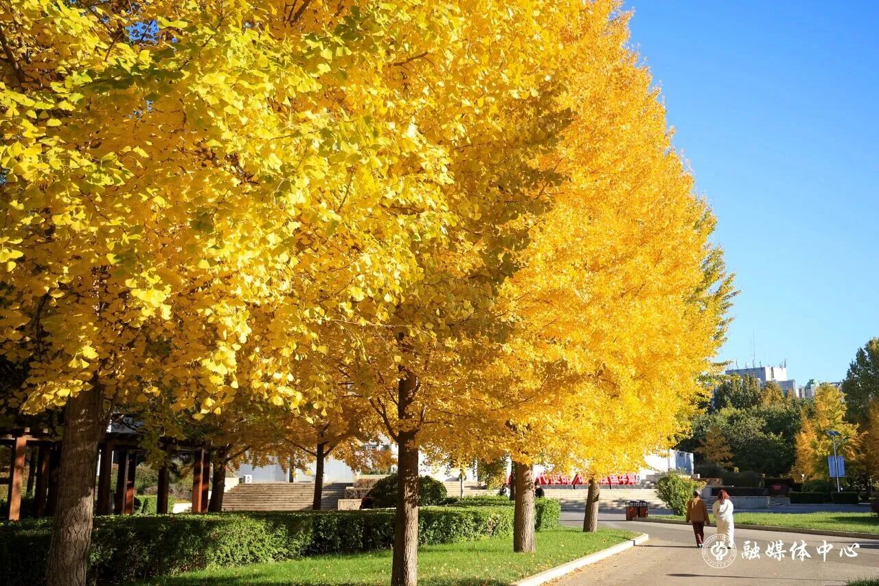 银娱优越会·GEG(中国)股份有限公司