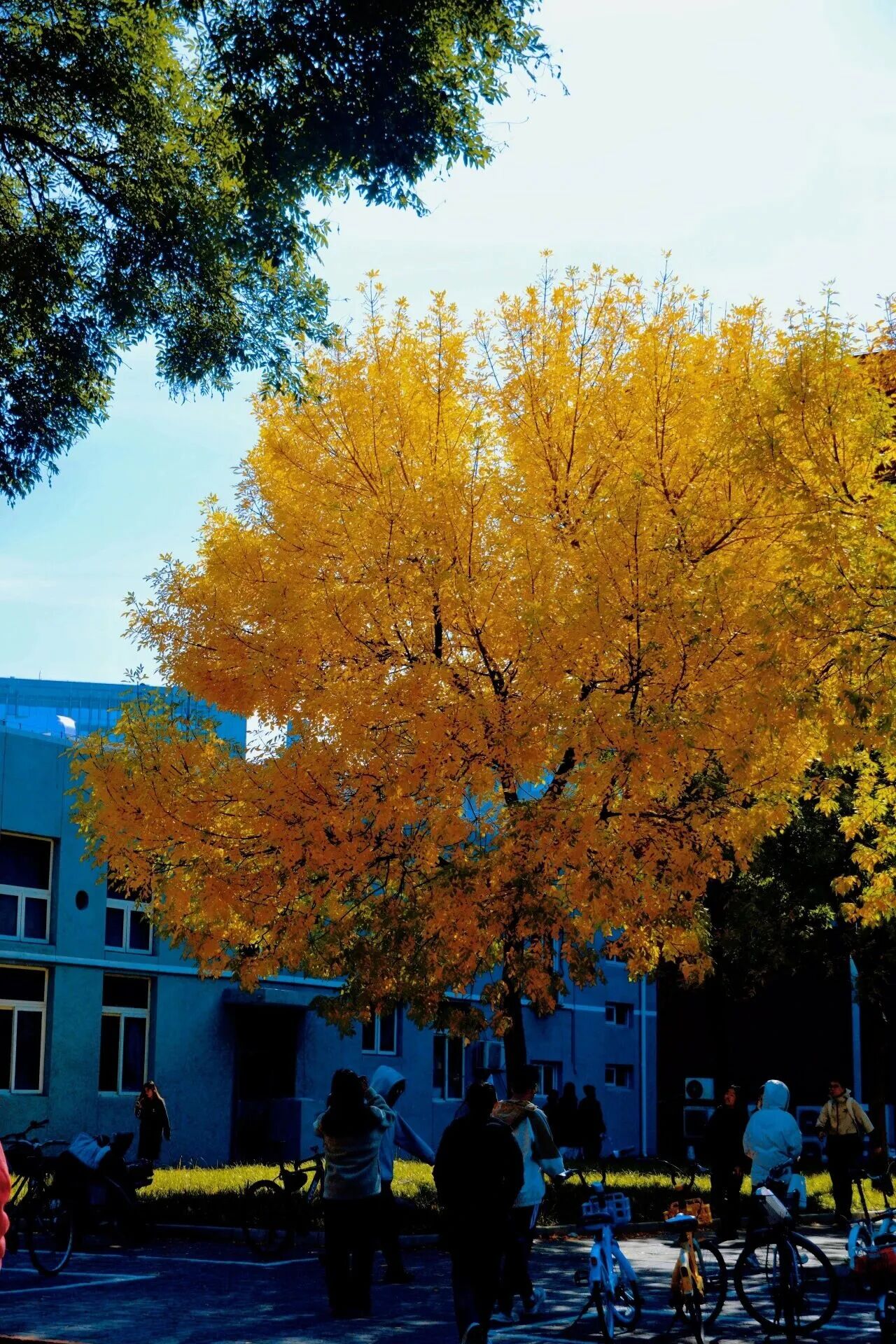 银娱优越会·GEG(中国)股份有限公司