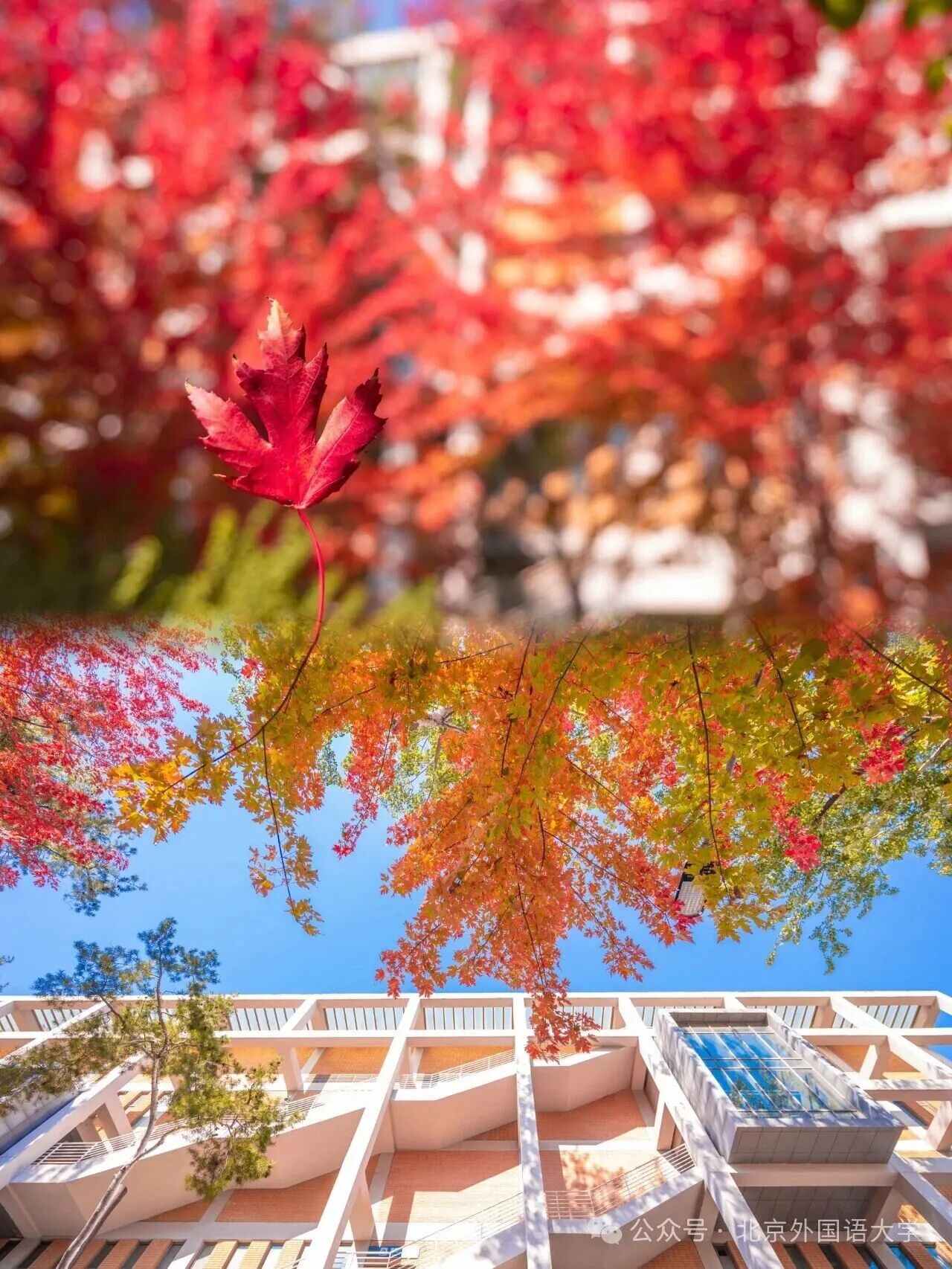 银娱优越会·GEG(中国)股份有限公司