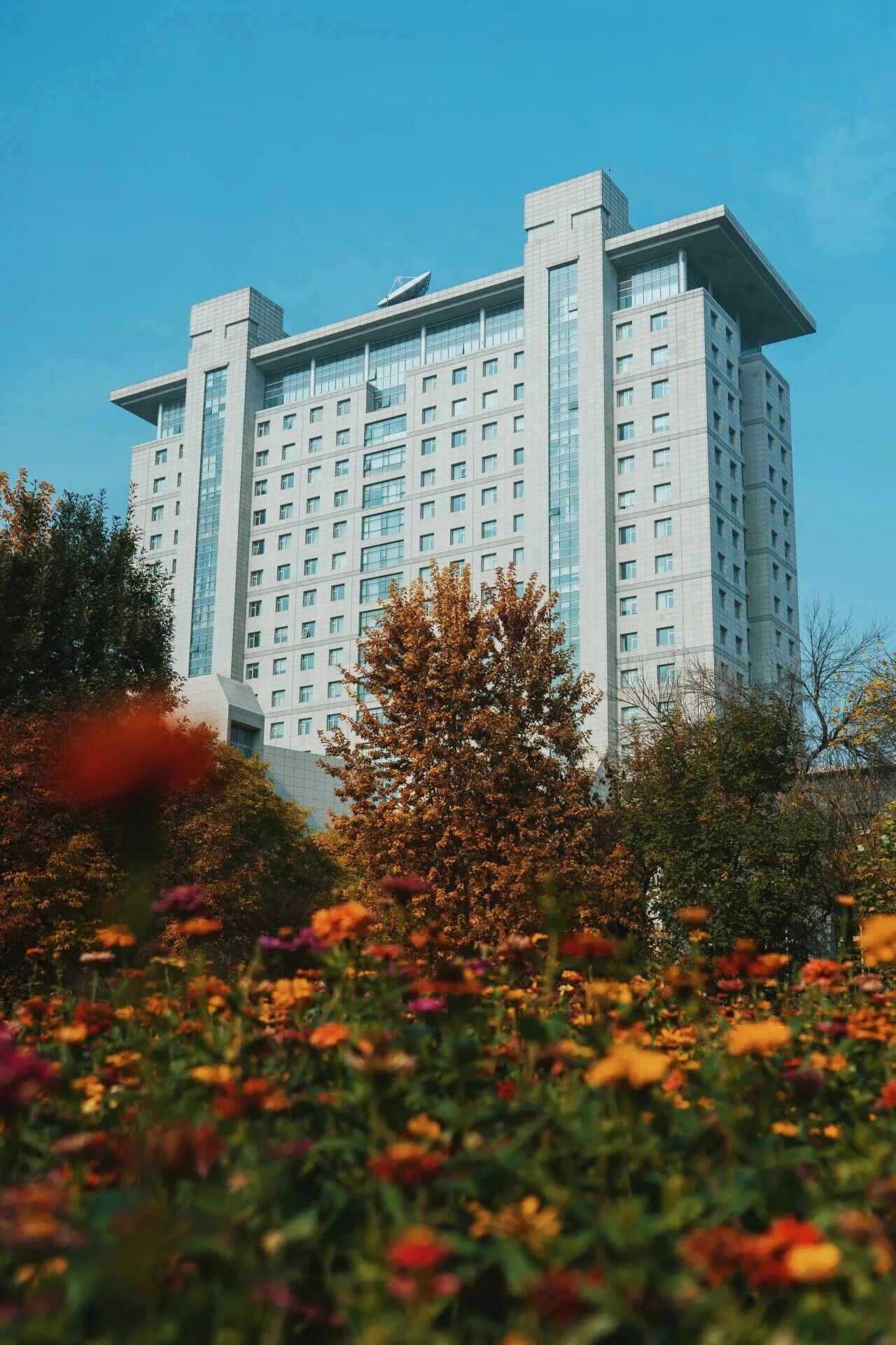 银娱优越会·GEG(中国)股份有限公司