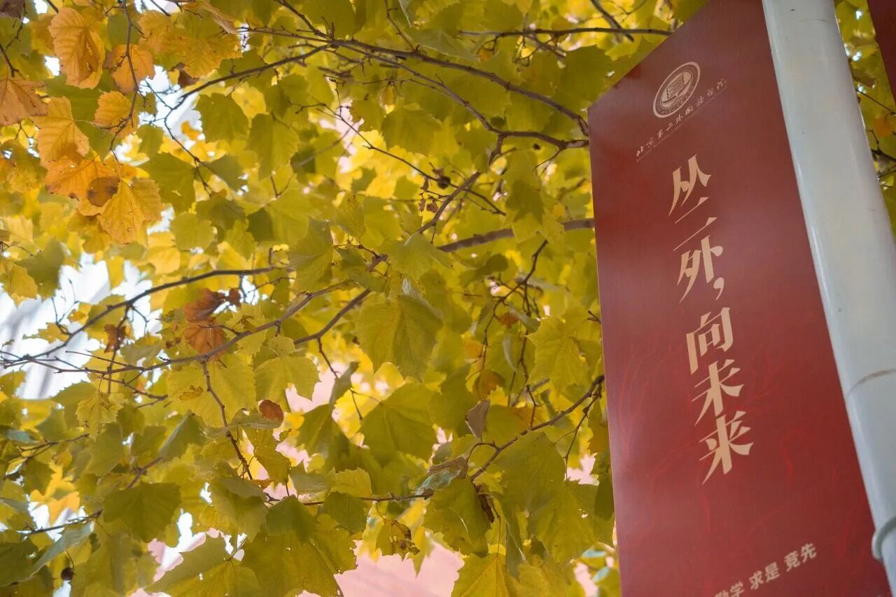 银娱优越会·GEG(中国)股份有限公司