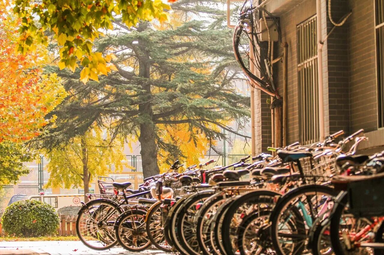 银娱优越会·GEG(中国)股份有限公司