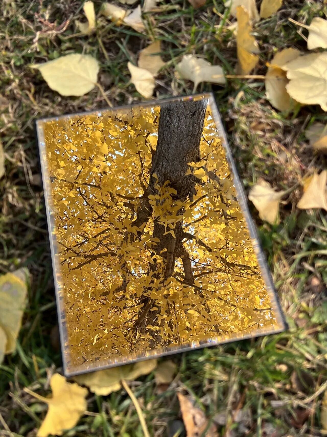 银娱优越会·GEG(中国)股份有限公司