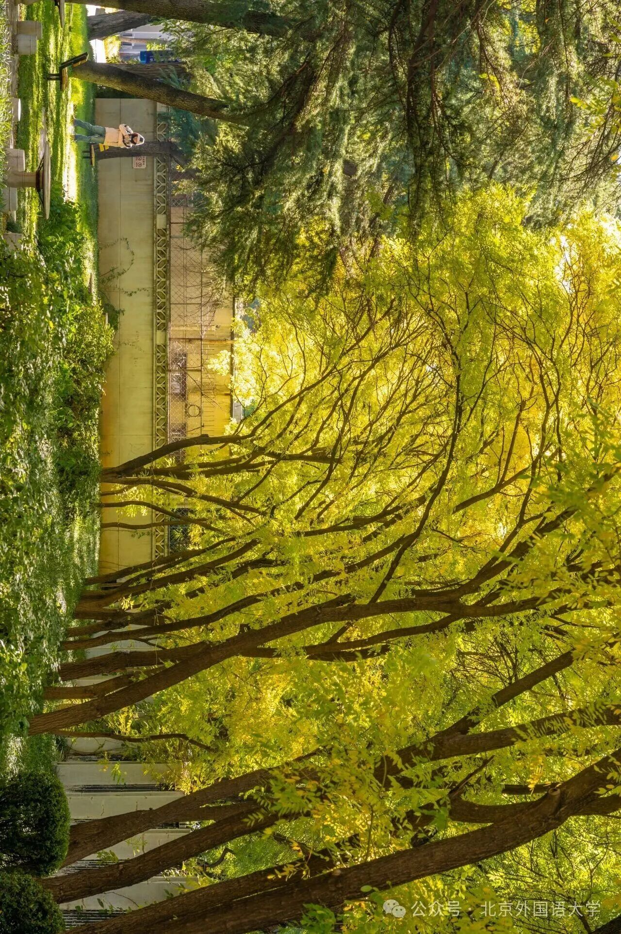 银娱优越会·GEG(中国)股份有限公司