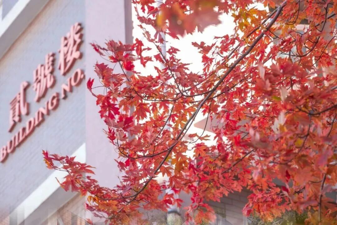 银娱优越会·GEG(中国)股份有限公司