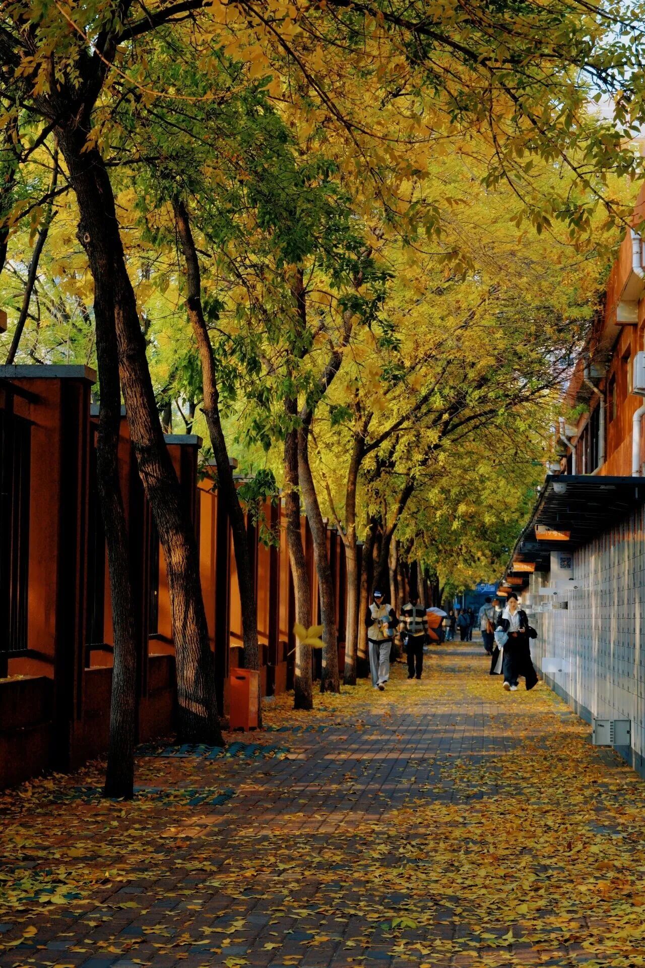 银娱优越会·GEG(中国)股份有限公司