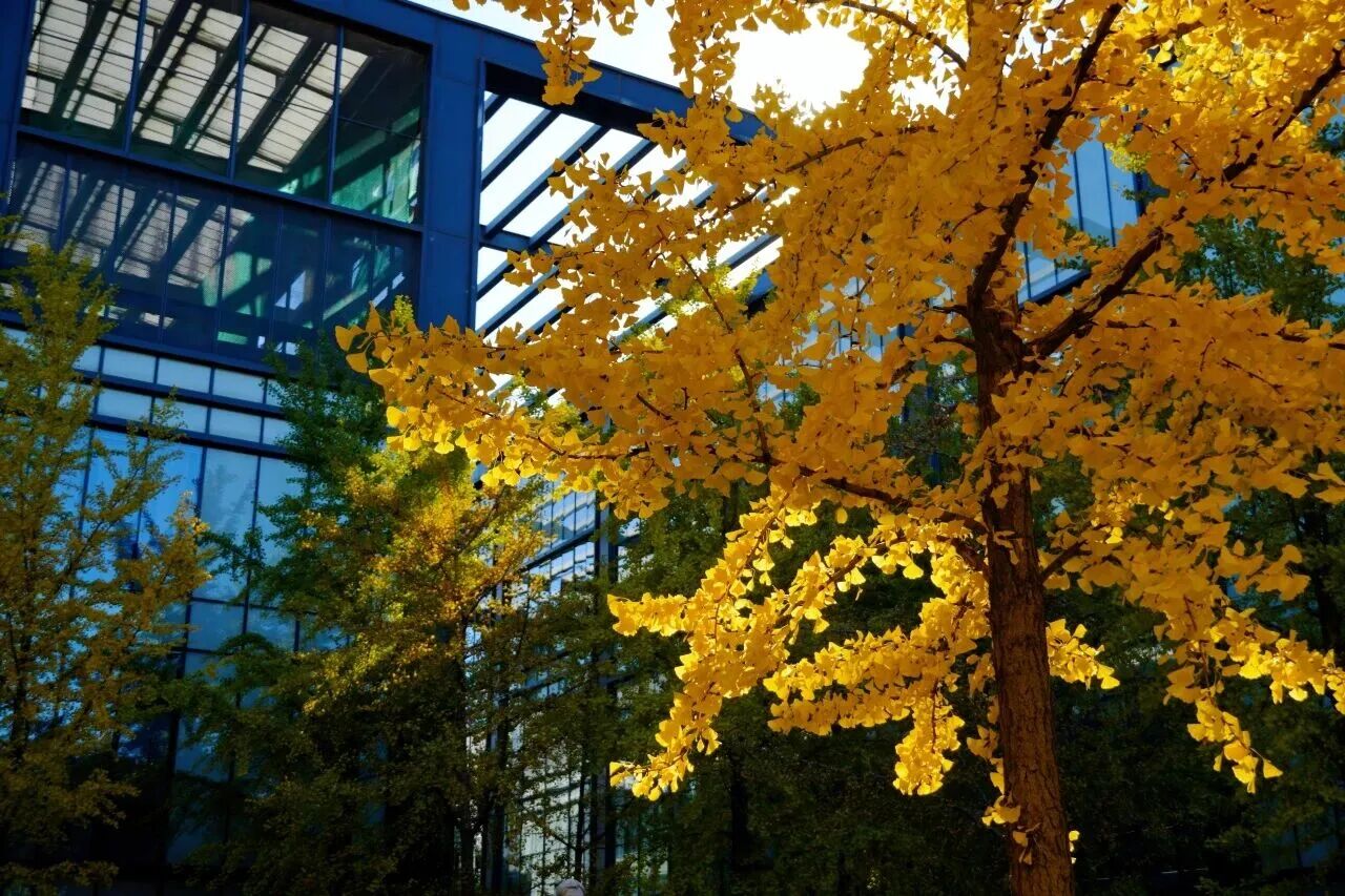 银娱优越会·GEG(中国)股份有限公司