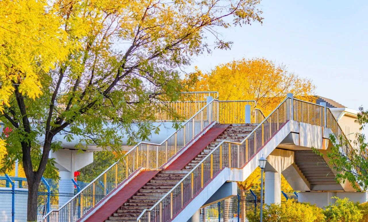 银娱优越会·GEG(中国)股份有限公司