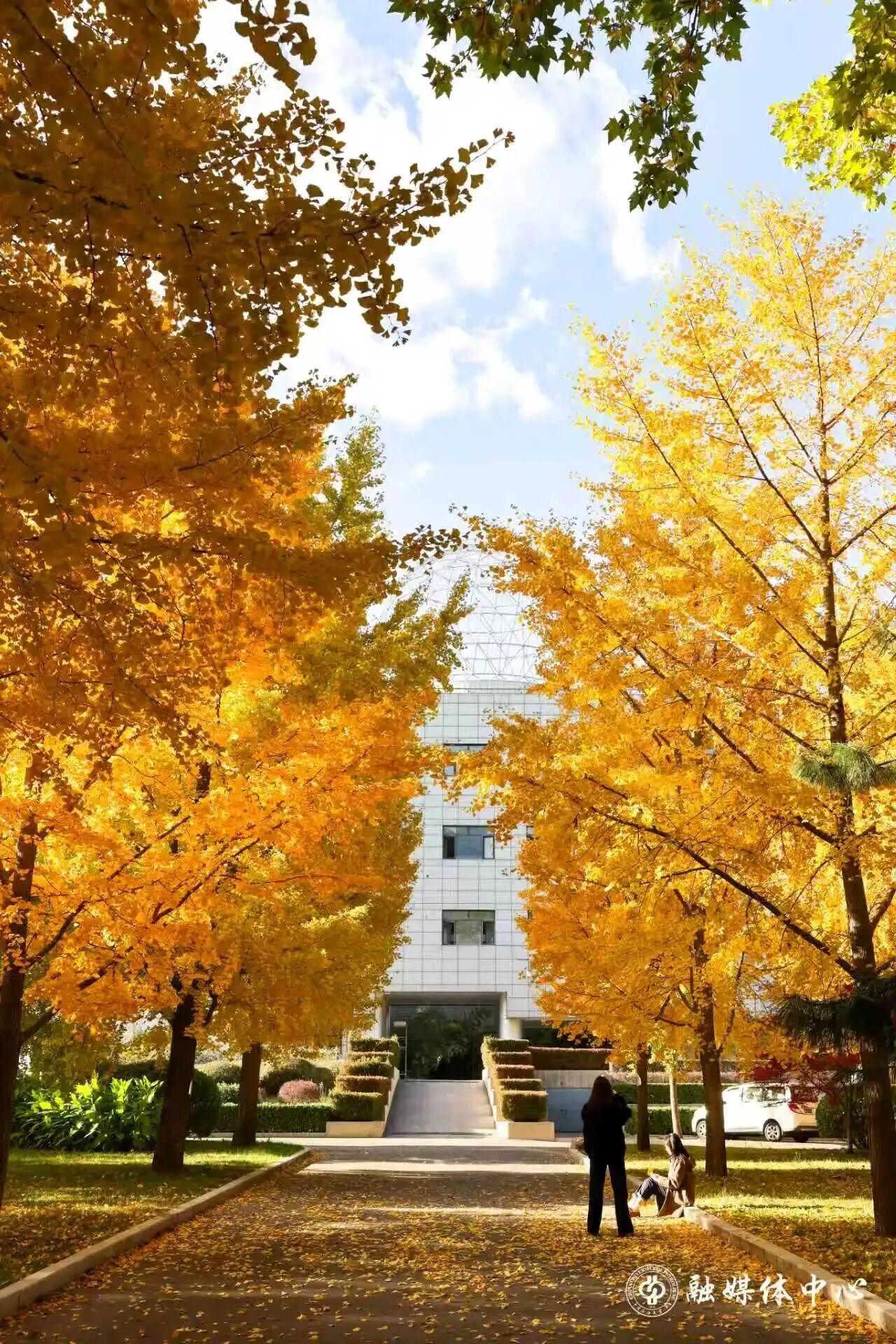 银娱优越会·GEG(中国)股份有限公司