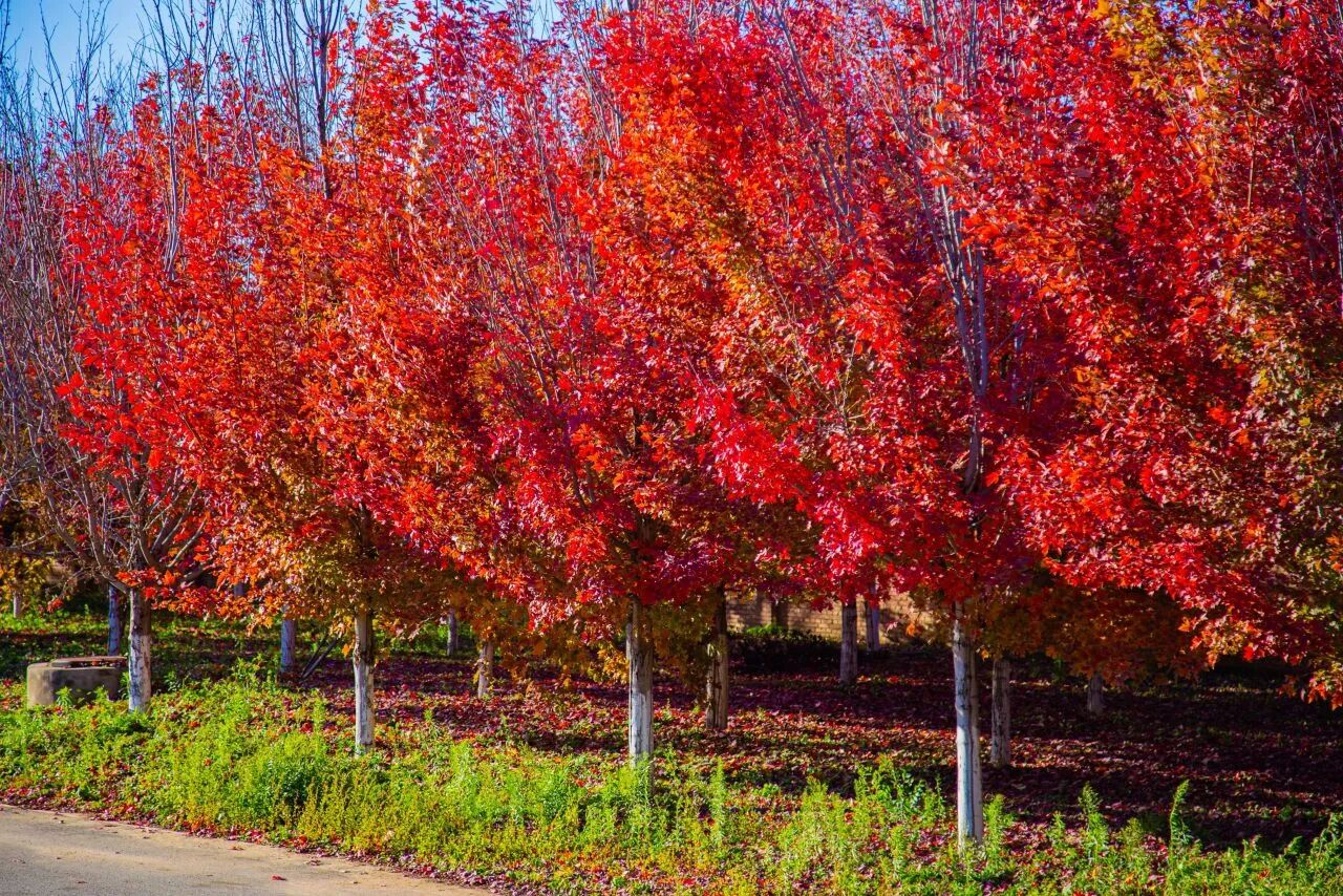 银娱优越会·GEG(中国)股份有限公司