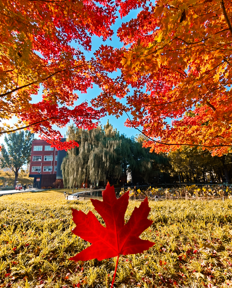 银娱优越会·GEG(中国)股份有限公司